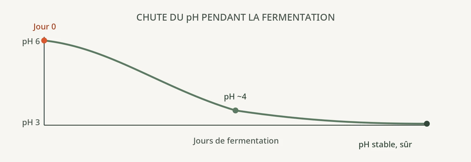 Fermentation maison : pH, sel et sélection microbienne