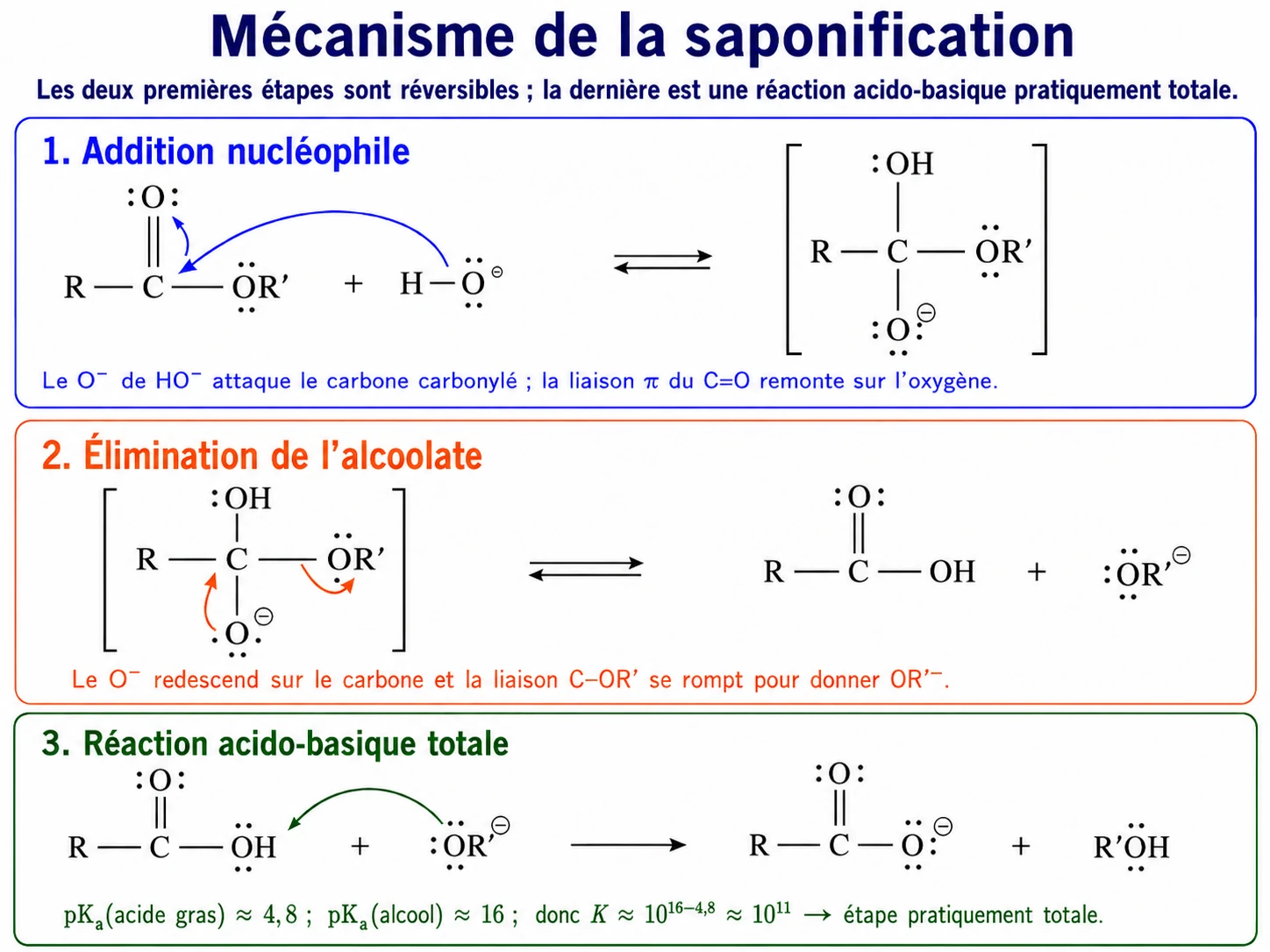 Mécanisme de la saponification en trois étapes : addition nucléophile de l'ion hydroxyde, élimination de l'alcoolate, puis réaction acido-basique totale