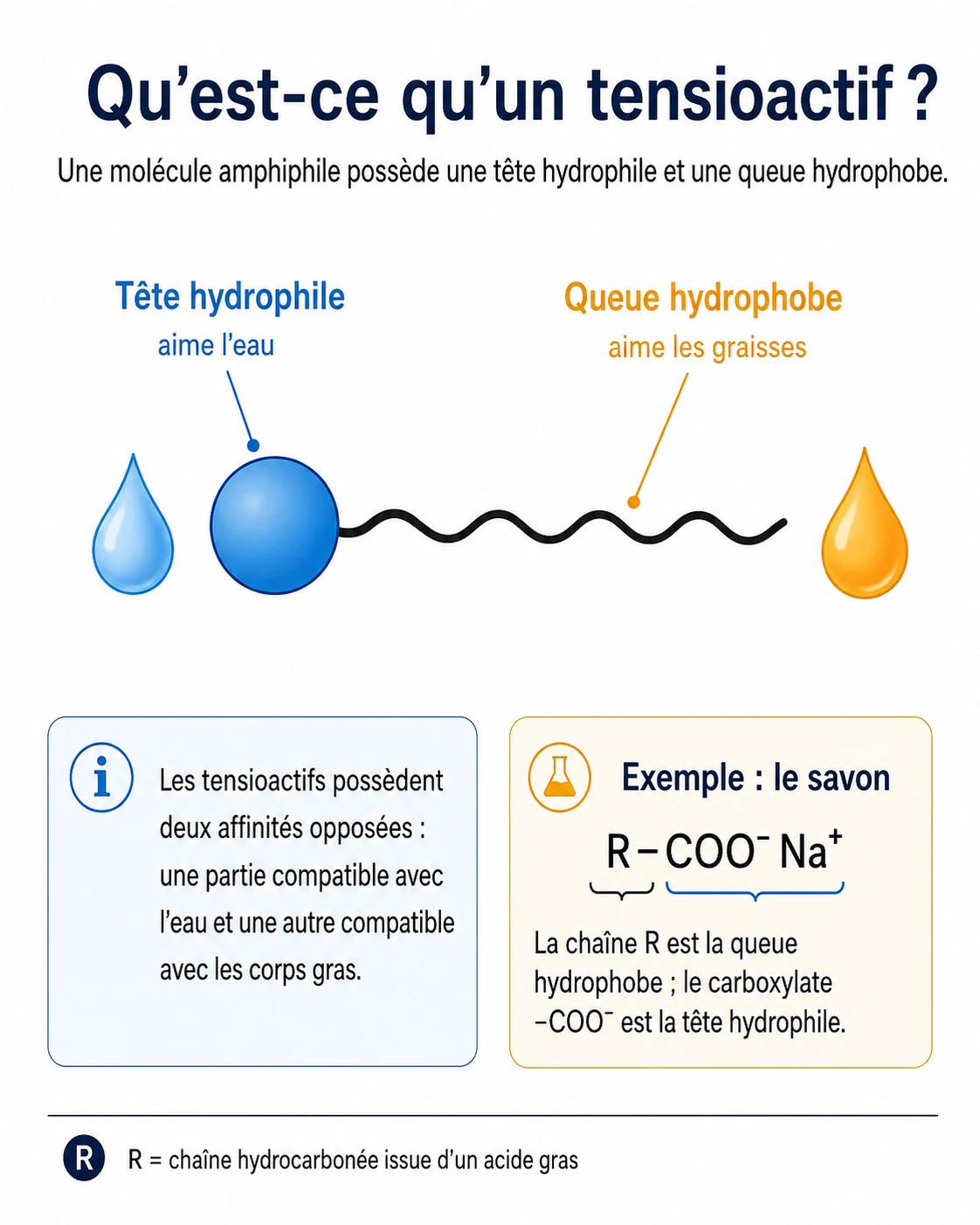 Une molécule de tensioactif : une tête hydrophile qui aime l'eau et une queue hydrophobe qui aime les graisses. Exemple du savon R-COO⁻ Na⁺