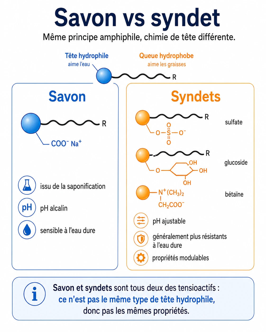 Savon et syndets partagent la même queue mais diffèrent par la tête : carboxylate pour le savon, sulfate/glucoside/bétaïne pour les syndets