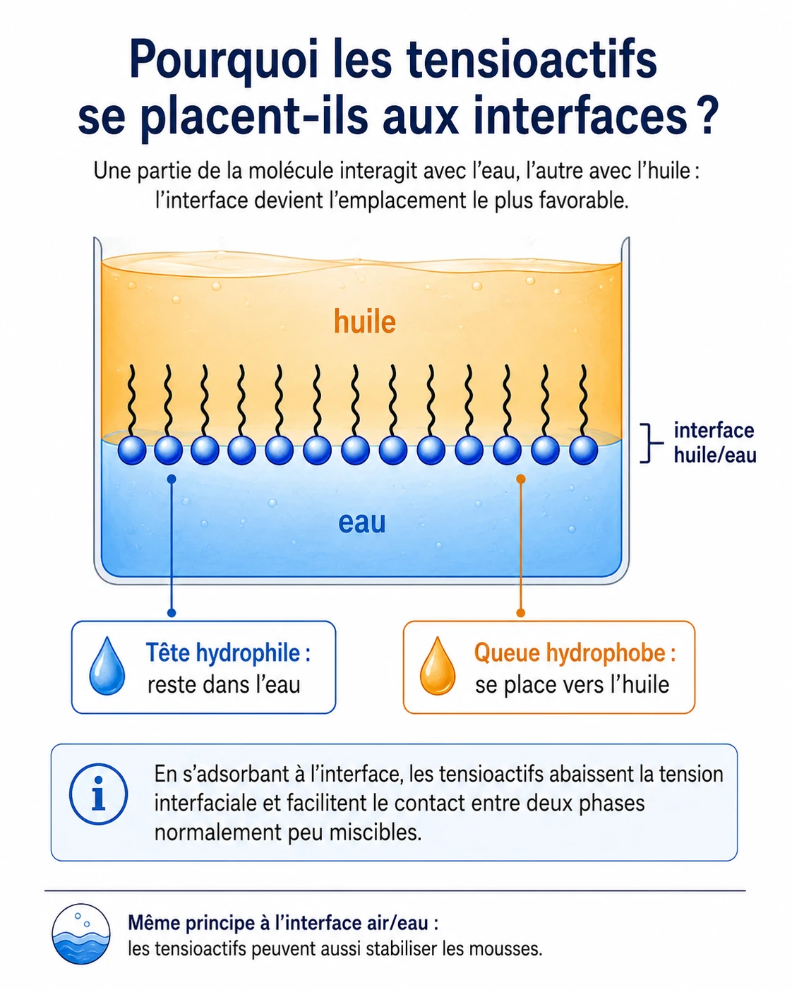 Les tensioactifs s'alignent à l'interface huile/eau : têtes dans l'eau, queues dans l'huile