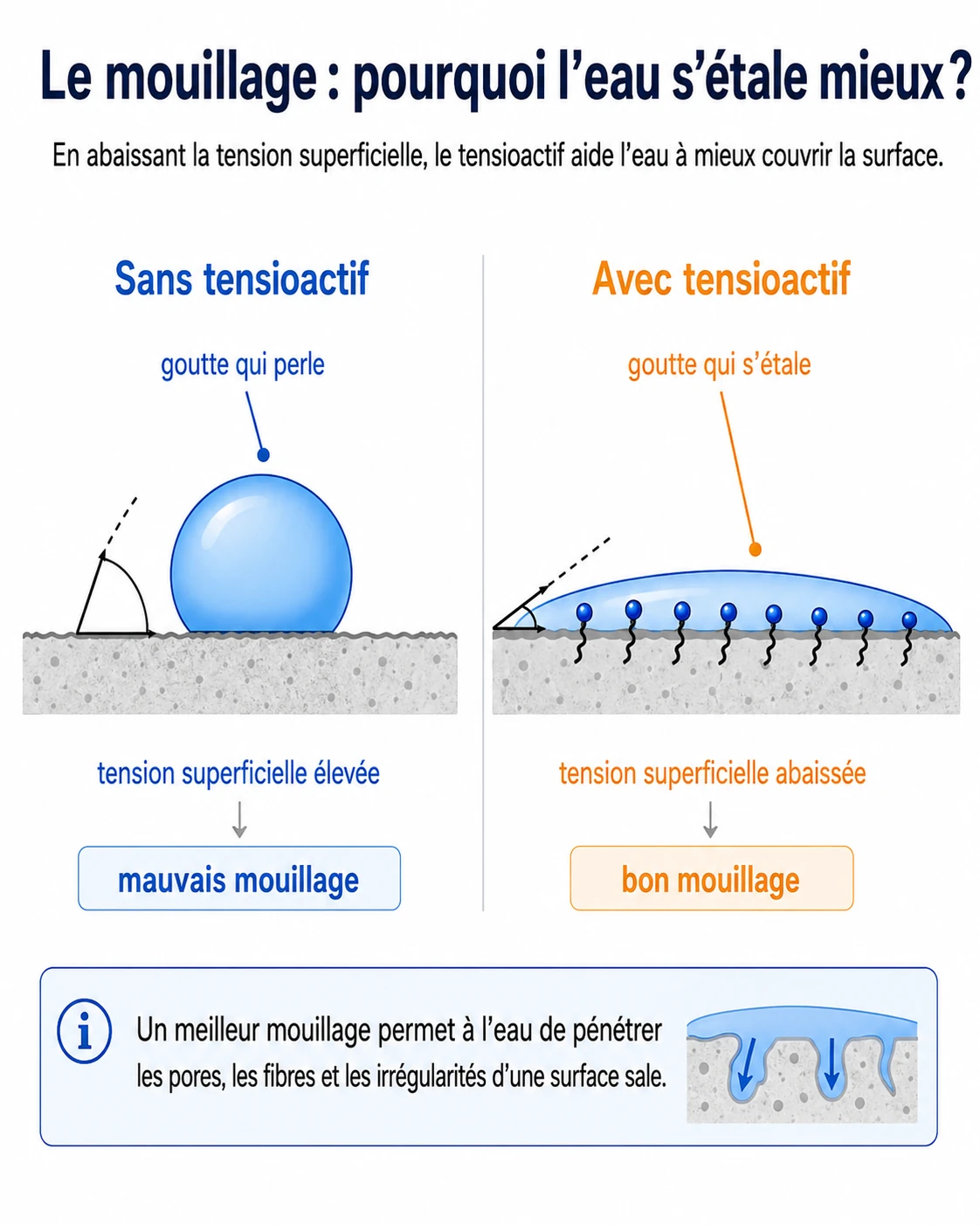 Le mouillage : sans tensioactif la goutte perle, avec tensioactif elle s'étale et pénètre les pores