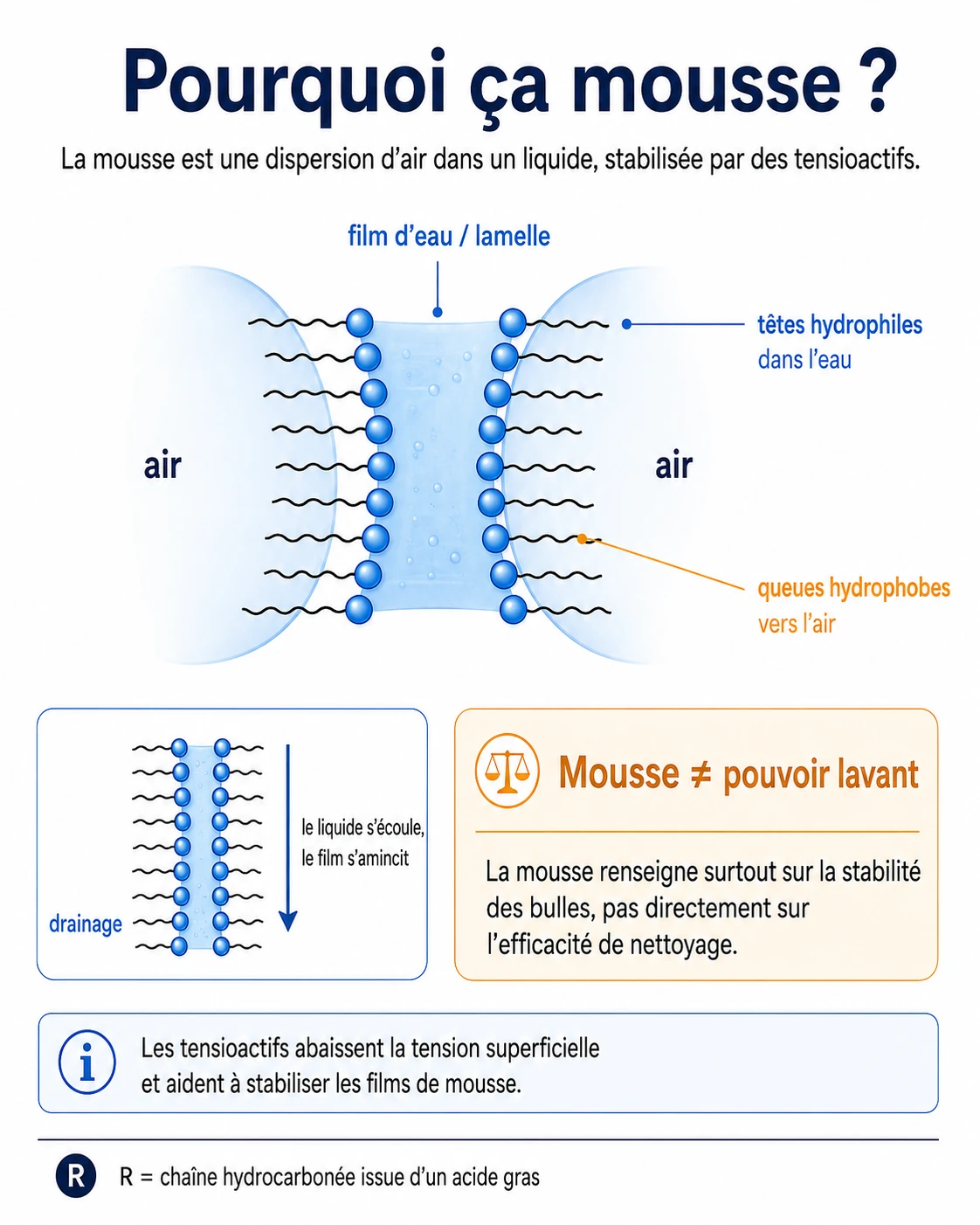 Coupe d'un film de mousse : les tensioactifs tapissent les deux faces de la lamelle d'eau ; le drainage finit par amincir le film. Mousse ≠ pouvoir lavant