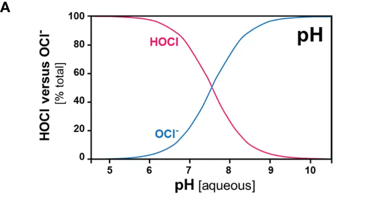 Courbe scientifique de spéciation : la proportion d'acide hypochloreux HOCl domine aux pH plus faibles, tandis que l'ion hypochlorite OCl⁻ domine aux pH plus élevés