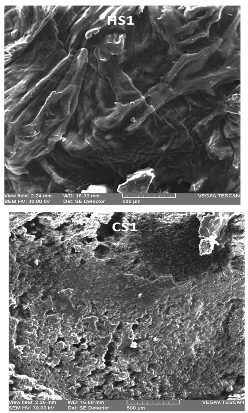 Micrographies électroniques de savons d'huiles d'olive et de coco : savon formulé à chaud HS1 en haut et savon formulé à froid CS1 en bas, avec barres d'échelle de 500 micromètres